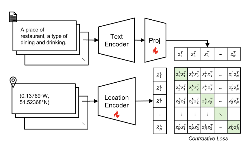 The model framework of CaLLiPer